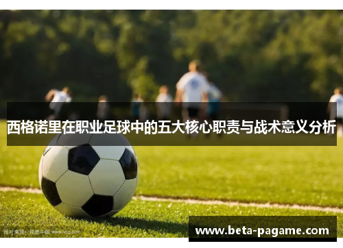 西格诺里在职业足球中的五大核心职责与战术意义分析